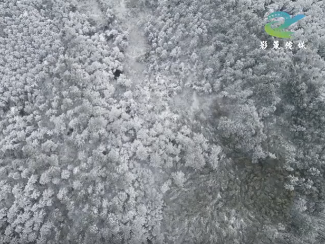 西湖区应急局演练汇报片